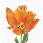 Thea Gouverneur  523  kit point croix  compté  Tulipe Orange