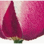 Thea Gouverneur 517  kit point de croix compté Tulipe Triomphe rouge et blanc  3
