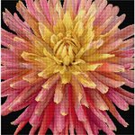 Thea Gouverneur 441-05  kit point croix compté  Dahlia  1