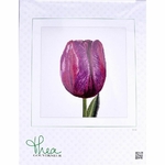 Thea Gouverneur 514  kit point croix compté  Tulipe  2
