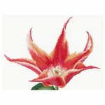 Thea Gouverneur 524  kit point croix compté  Tulipe lys  1