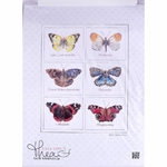 Thea Gouverneur 2037  kit point de croix  Papillons  3