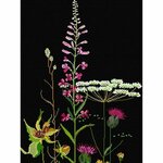 Thea Gouverneur 821-05  kit point de croix compté  Fleurs sauvage  2