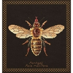 Thea Gouverneur 3017-05  kit point croix  Abeille  Honey bee