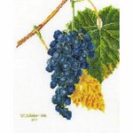 Thea Gouverneur 2086  kit point de croix  Raisin  3
