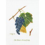 Thea Gouverneur 2086  kit point de croix  Raisin