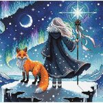Ava P069  kit point de croix  Enchanteresse des aurores  3