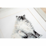 Luca-S B2269  kit point de croix  Chat  Micky   4