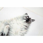 Luca-S B2269  kit point de croix  Chat  Micky   3