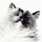 Luca-S B2269  kit point de croix  Chat  Micky   5