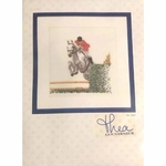 Thea Gouverneur  3090  kit point de croix  Saut dobstacles  3