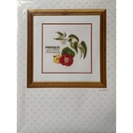 Thea Gouverneur 3041  kit point croix  Poivrons  2