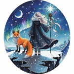 Ava P069  kit point de croix  Enchanteresse des aurores  4