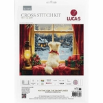 Luca-S  BU5076  kit point croix  Flocons de neige  1