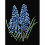 Thea Gouverneur 443-05  kit point de croix  Muscari  1