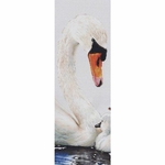 Thea Gouverneur 606  kit point croix compté  Cygne   3