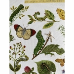 Thea Gouverneur 587  kit point croix compté  Chenilles  Papillons  3