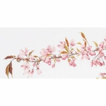 Thea Gouverneur  481  kit point croix  Prunus  1
