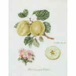 Thea Gouverneur 2057  kit point croix  Pomme Keswick