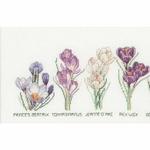 Thea Gouverneur 3074  kit point croix  Crocus  3