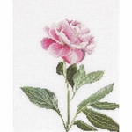 Thea Gouverneur 433  kit point croix  Pivoines  5