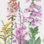 Thea Gouverneur 554  kit point de croix  Fleurs sauvage  1
