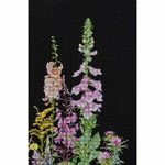 Thea Gouverneur 554 -05  kit point de croix  Fleurs sauvage  4