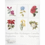 Thea Gouverneur 3087  kit point croix  Six études Florales  1