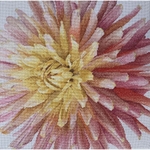 Thea Gouverneur 441  kit point croix compté  Dahlia