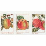 Thea Gouverneur 2082  kit point de croix compté  variété de pommes  2