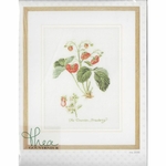 Thea Gouverneur 2085  kit point croix  Fraise  1