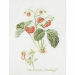 Thea Gouverneur 2085  kit point croix  Fraise