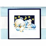 Pako 238.616  kit point croix  tableau de naissance  3