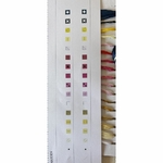 Pako 238.615  kit point croix  tableau de naissance  2