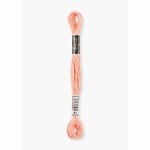 Fil à broder  coton mouliné  couleur 51  Luca-S  1