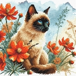 Ava P172  kit point de croix compé  Le jardin du chat