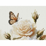 Luca-S B7056  kit point croix  Le parfum des roses  5