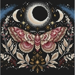 Ava P035  kit point croix  Papillon de nuit