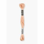 Fil à broder  coton mouliné  couleur 405  Luca-S  1