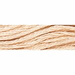Fil à broder  coton mouliné  couleur 418  Luca-S  2