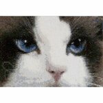 Thea Gouverneur 542  kit point de croix  Chats  2