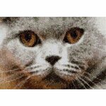Thea Gouverneur 542  kit point de croix  Chats  1