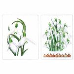 Thea Gouverneur 446  kit point croix compté  Galanthus