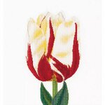 Thea Gouverneur  516  kit point croix  Tulipe
