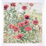 Thea Gouverneur 2061  kit point croix  coquelicots rose