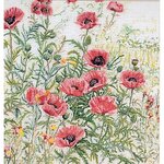 Thea Gouverneur 2061  kit point croix  coquelicots rose  1