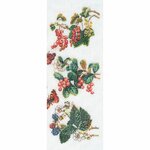 Thea Gouverneur 3021  kit de broderie  Fruits rouge