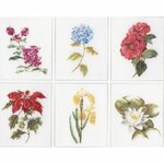 Thea Gouverneur 3087  kit point croix  Six études Florales