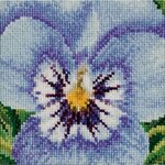 Thea Gouverneur 464  kit point de croix  Pensée bleu tricolore