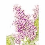 Thea Gouverneur 588  kit point croix compté Lilas